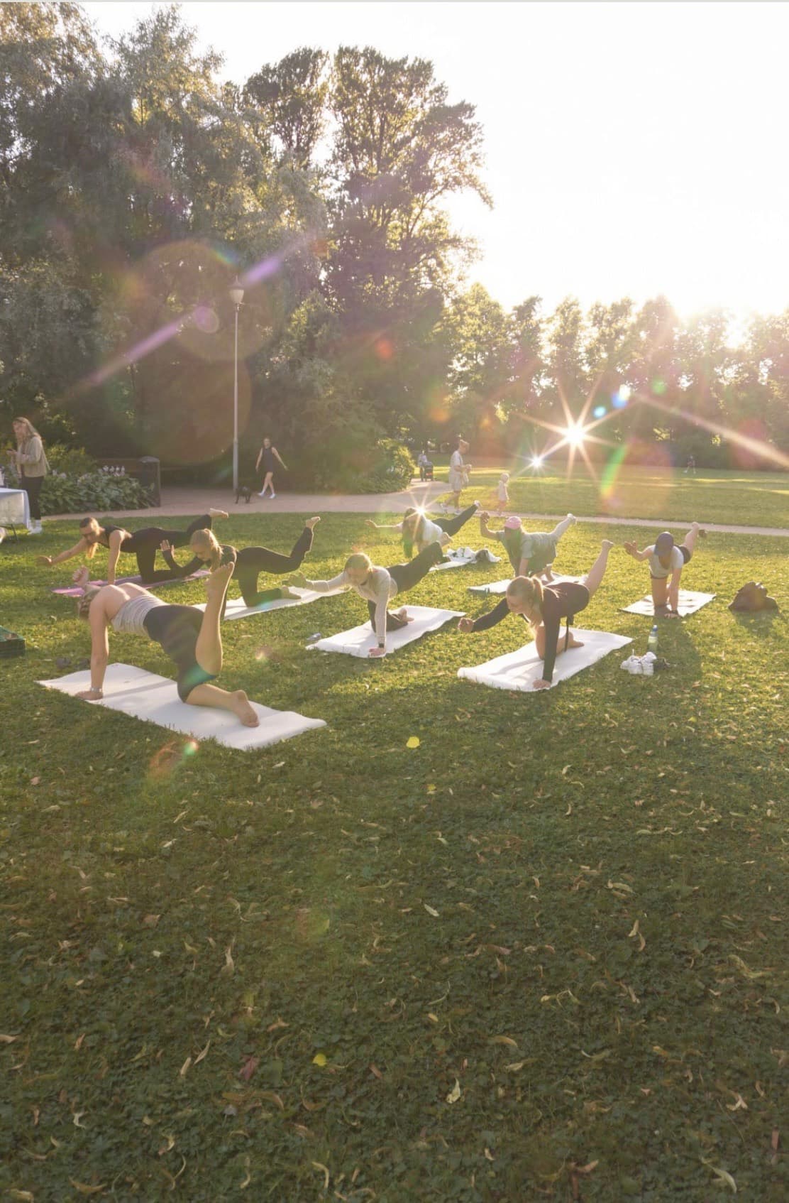 Gravidyoga i parken med mamamum